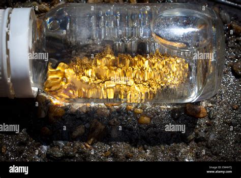 Alluvial Gold, found by the traditional panning method Stock Photo - Alamy