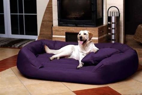 5 Best Large Dog Beds for Big Breeds [Top Recommendations & Guide]