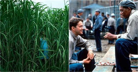 10 Movies You Didn't Know Were Based On Stephen King Stories