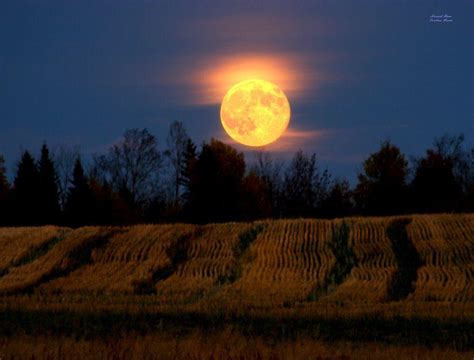 Autumn Moon Wallpapers - Top Free Autumn Moon Backgrounds - WallpaperAccess