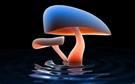 Mushroom Art, HD Artist, 4k Wallpapers, Images, Backgrounds, Photos and Pictures