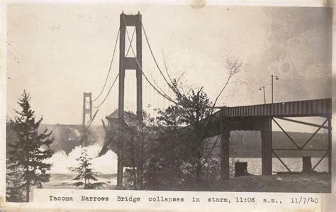 Galloping Gertie: The Tacoma Narrows Bridge Collapse - Daily Dose Documentary