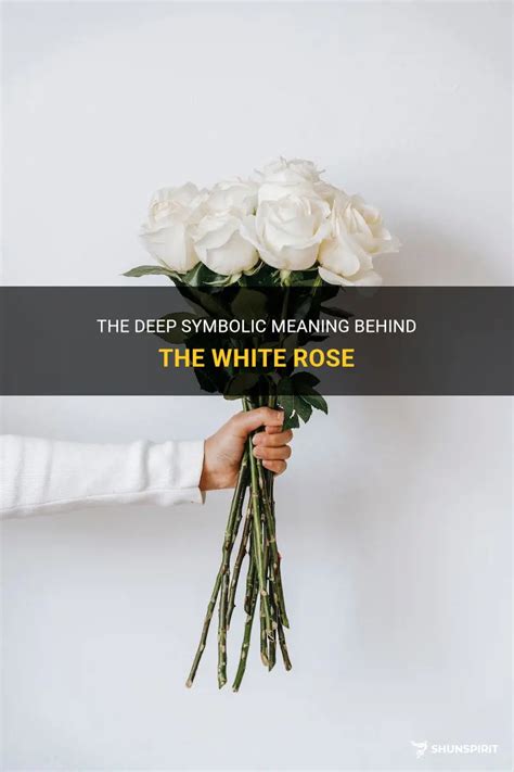 The Deep Symbolic Meaning Behind The White Rose | ShunSpirit