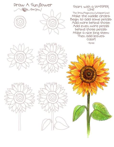 How To Draw Sunflowers Step By Step - Drawing Word Searches