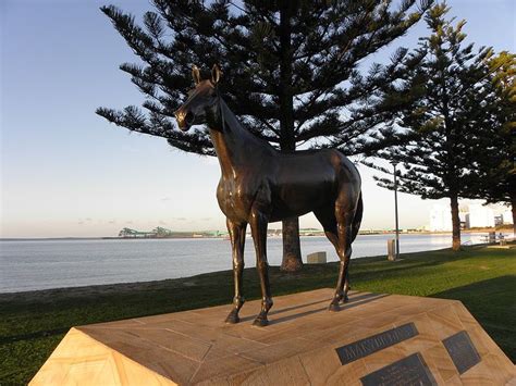 Statue of Makybe Diva on the Port Lincoln foreshore. This champion won 3 Melbourne Cups. | Port ...