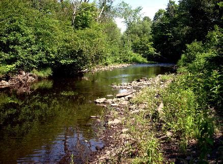 Fly Fishing On The North Branch Salmon River New York - The Perfect Fly ...