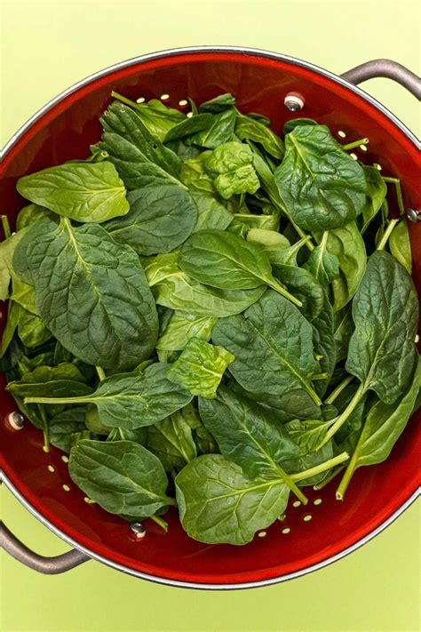 How to Dehydrate Spinach - Fresh Off The Grid