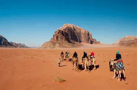 Camel Safari in Jordan 2024 - Rove.me