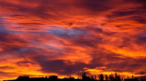 Sunset Sky Trees Bushes Clouds 4K HD Wallpapers | HD Wallpapers