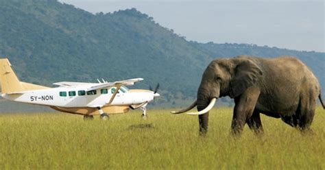 Nairobi: 3-Day Masai Mara Safari with Luxury Lodge & Flights | GetYourGuide