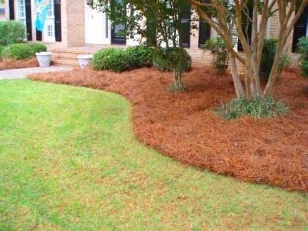 Dothan Lawn Care L.L.C Commerical Lawn Care Sprinkler Repair Sod Services 334-618-1916 | Pine ...