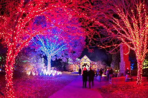NC Arboretum's Winter Lights show! - Creston Mountain Properties