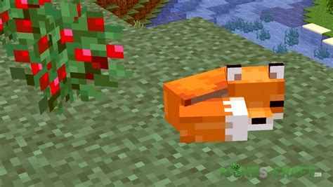 Foxes in Minecraft 1.14 | Mines-Craft.com