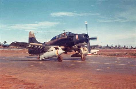 Douglas A-1E Skyraider of the 1st Special Operations Squadron, 56th ...