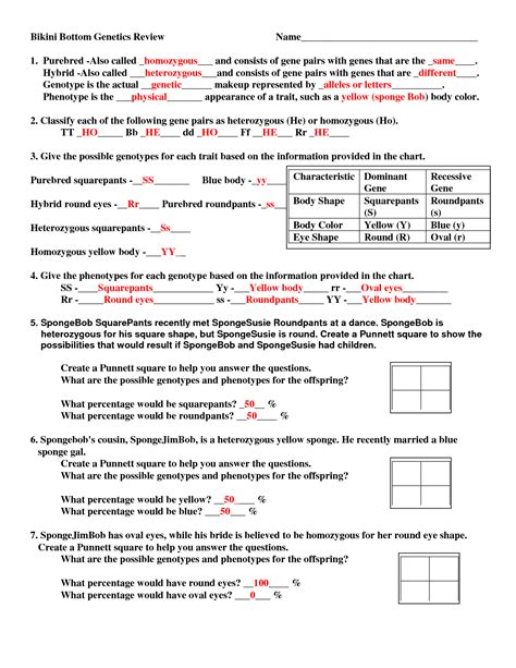 15 Best Images of Genetic Punnett Squares Worksheets - Worksheet Template Tips And Reviews