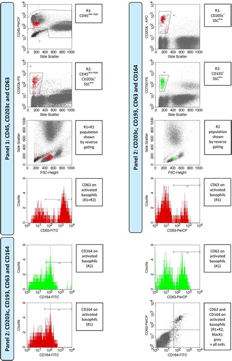 Flowchart diagram of the flow cytometry data analysis. | Download ...