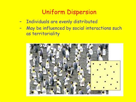 PPT - Population Ecology PowerPoint Presentation, free download - ID:3841498