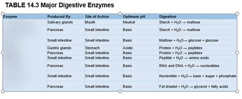 Digestive Enzymes Chart