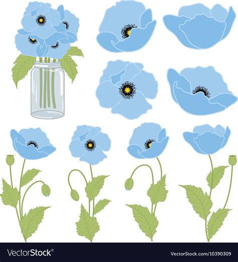 Blue poppies Royalty Free Vector Image - VectorStock