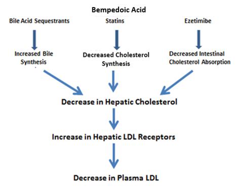 Figure 1. [Mechanism for the Decrease in LDL Levels]. - Endotext - NCBI ...