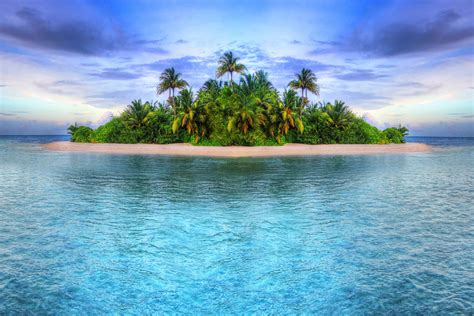 Download Palm Tree Sea Ocean Tropical Nature Green Island HD Wallpaper