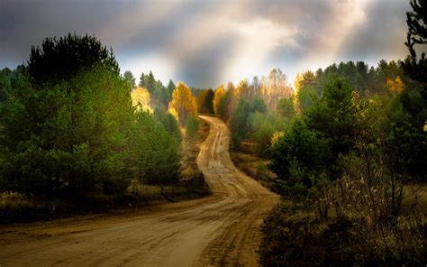 Download Tree Country Dirt Road Man Made Road HD Wallpaper