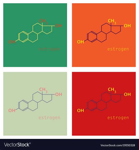 Set of estrogen molecule structure in style Vector Image