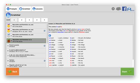 French – Grammar lesson – Macco Software