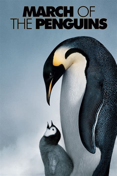 March of the Penguins | March of the penguins, Penguin movies, Penguins