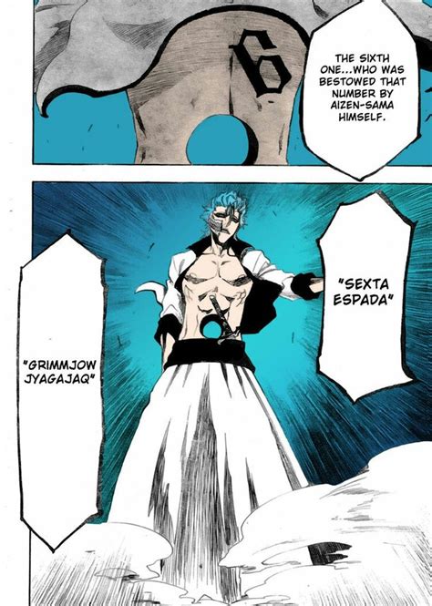 Grimmjow Jaegerjaques Espada Number 6 bleach | Bleach anime, Bleach art ...