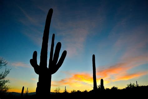 Arizona Sunrise Free Stock Photo - Public Domain Pictures