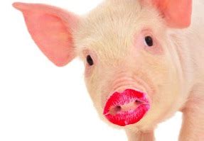 jobsanger: A Pig With Lipstick Is Still A Pig