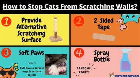 How to Stop Cats From Scratching Walls? - The Kitty Expert