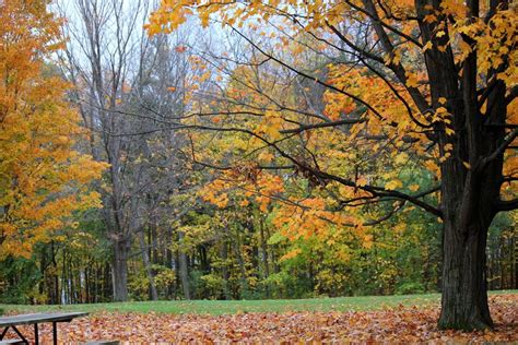 Fall foliage of New England - Tripoto