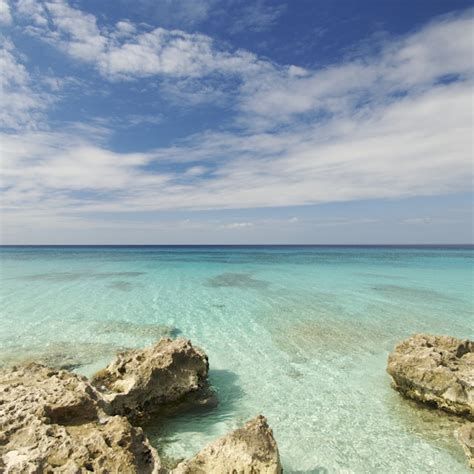 Reserva Ecológica Varahicacos | Varadero, Cuba | Attractions - Lonely Planet