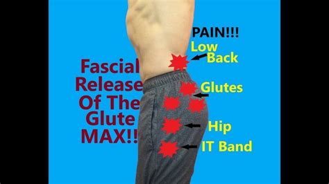 Gluteus Maximus Pain and Fascial Release