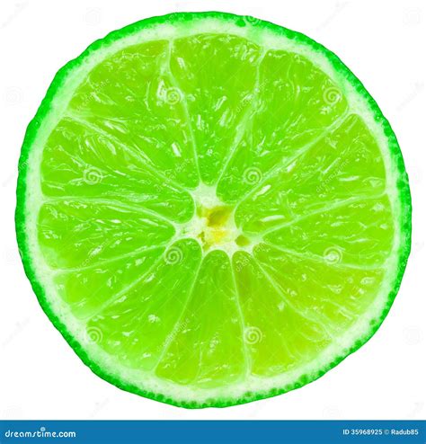 Green Lime Fruit Slice Royalty Free Stock Photo - Image: 35968925