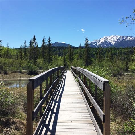 Hike: Source of the Columbia Trail, BC - This Big Adventure