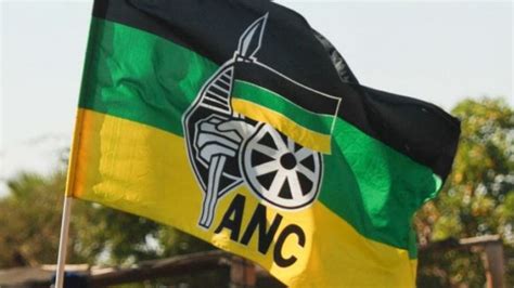 ANC elite treat people like magoshas | Daily Sun