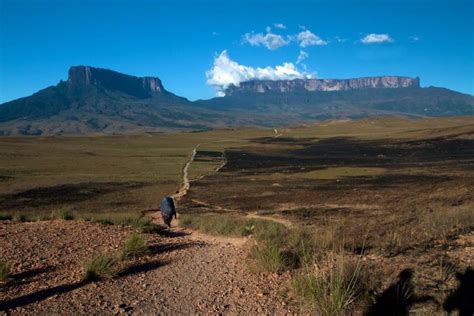 Mount Roraima: Awe-Inspiring Photos Of The Summit Amid The Clouds