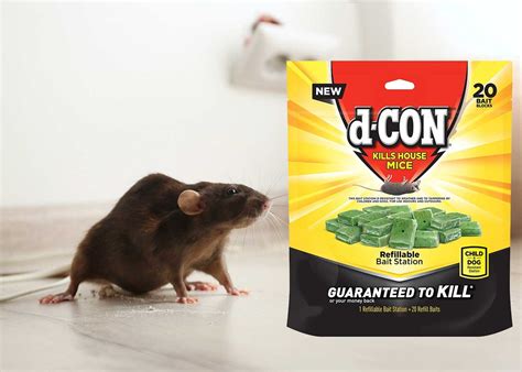 Best Rat Bait To End Rat Infestation Once And For All