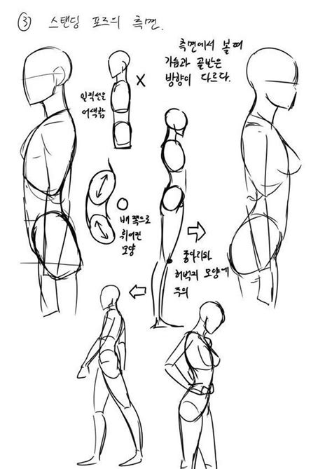 How to Draw Bodies From the Side - Vive1955 Dituals