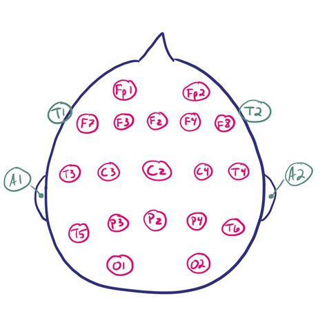 EEG Montages and Technical Components