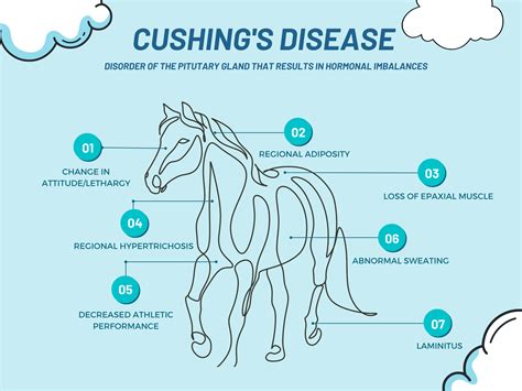 When To Euthanize A Horse With Cushing’s Disease? UPDATED 2022 #2 - BestPetCompanion