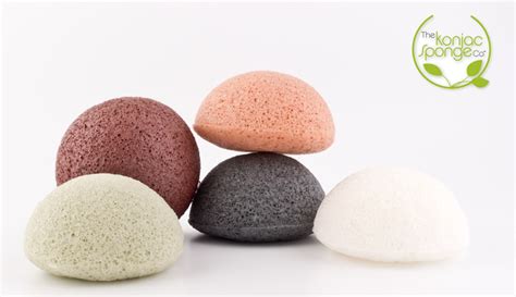 REVIEW | The Konjac Sponge Co. Facial Cleansing Sponges - The ...