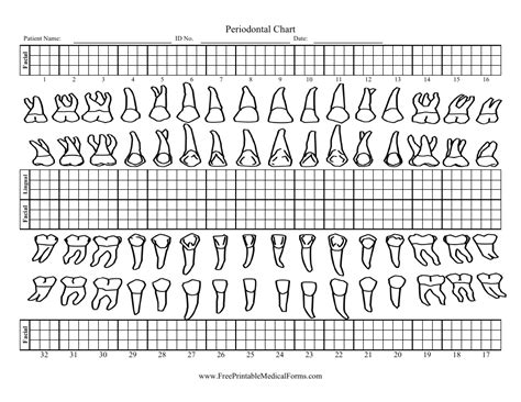 Periodontal Chart Template Download Printable PDF | Templateroller