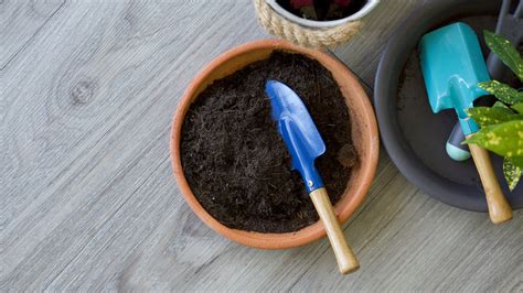 5 Pro Tips For Reusing Potting Soil