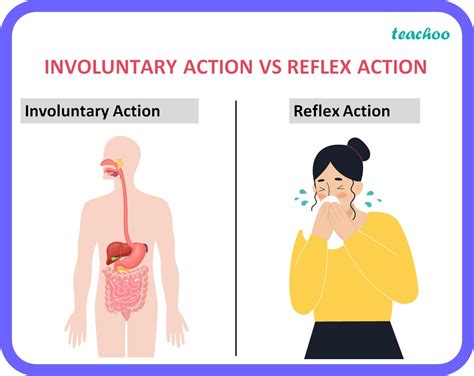 [Bio] How are involuntary & reflex actions different from each other?