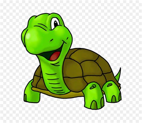 Kura Kura, Kartun, Gambar gambar png | Cartoon turtle, Turtle drawing ...