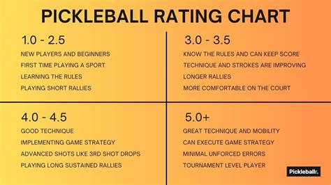 pickleball ratings explained, best tech gifts